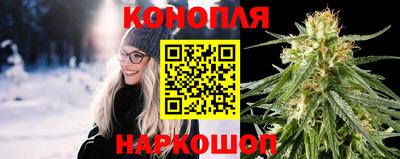 твердый Будённовск