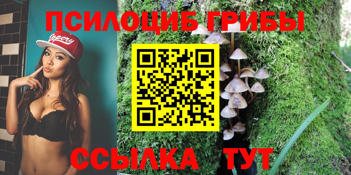 Чусовой  Псилоцибиновые грибы мухоморы  Вход с VPN 
